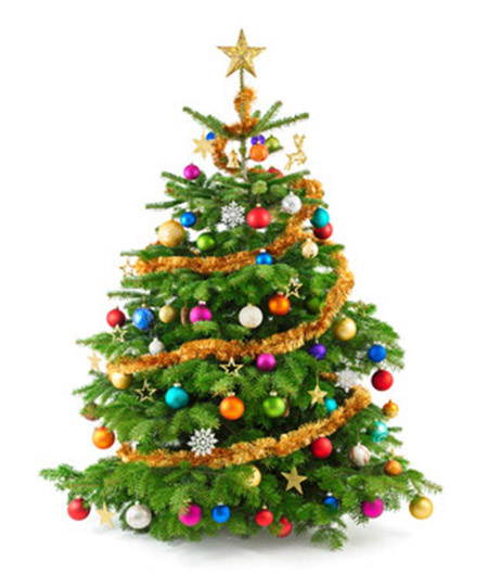 Früchtetee Weihnachten