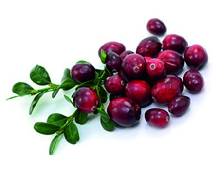 Cranberry-Früchtetee 20 FK in 100 Einzelbeuteln/5L