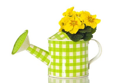 Früchtetee Frühling, 5kg